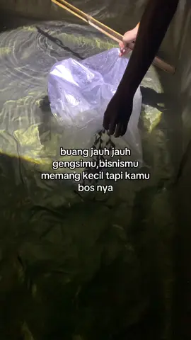 bismillah izin masih pemula🙏🏻😁#fypp #budidayalele #bisnisanakmuda #budidayaikan #bisniskecilku 