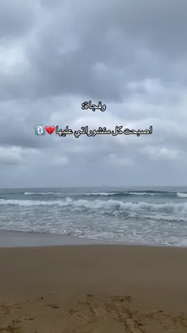 #algeria #toutlemonde #شعب_الصيني_ماله_حل😂😂 #fyp #fyppppppppppppppppppppppp 