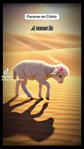 Florecer en Cristo#jesus🙏🏼🕊♥ #espiritusanto #oracion #fe #todossomoshijosdeDios🙏🙌❤️ 
