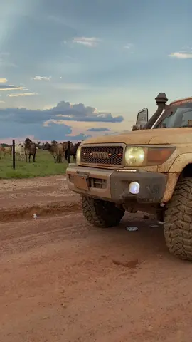 #paratii #toyota #vichada_colombia🇨🇴🇨🇴 #rodada 