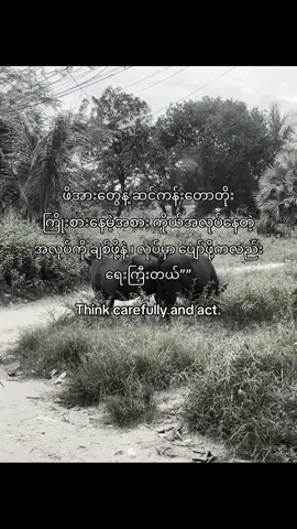 #fypシ゚vira #likes #myanmartiktok🇲🇲🇲🇲 #