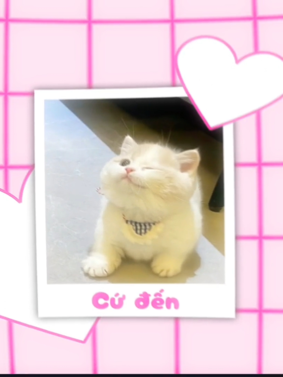 Tớ thích cậu mất rồi (code free in bio) #edit #alightmotion #am #VXB #music #nhachaymoingay #nhacnaychillphet #nhactamtrang #mograph #mographedit #typographyedit #typography #codeam #code #codealightmotion #presetalightmotion #xml #xmlpreset #motiongraphics 