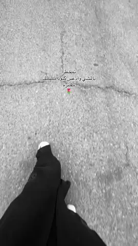 #تصويري📷 #ماشاءالله_تبارك_الله_اذكروا_الله #فولو❤️ 
