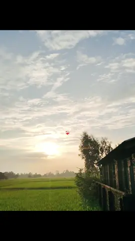 #😊 #fypforyoupage #growmyaccount #cheetrihoraoffical 