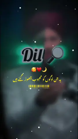 yah Jin logon ko mahbub chhod Gaye Hain  islamic__vibes92#islamicvibes599 #foryou #foryoupage #fyp #viral 