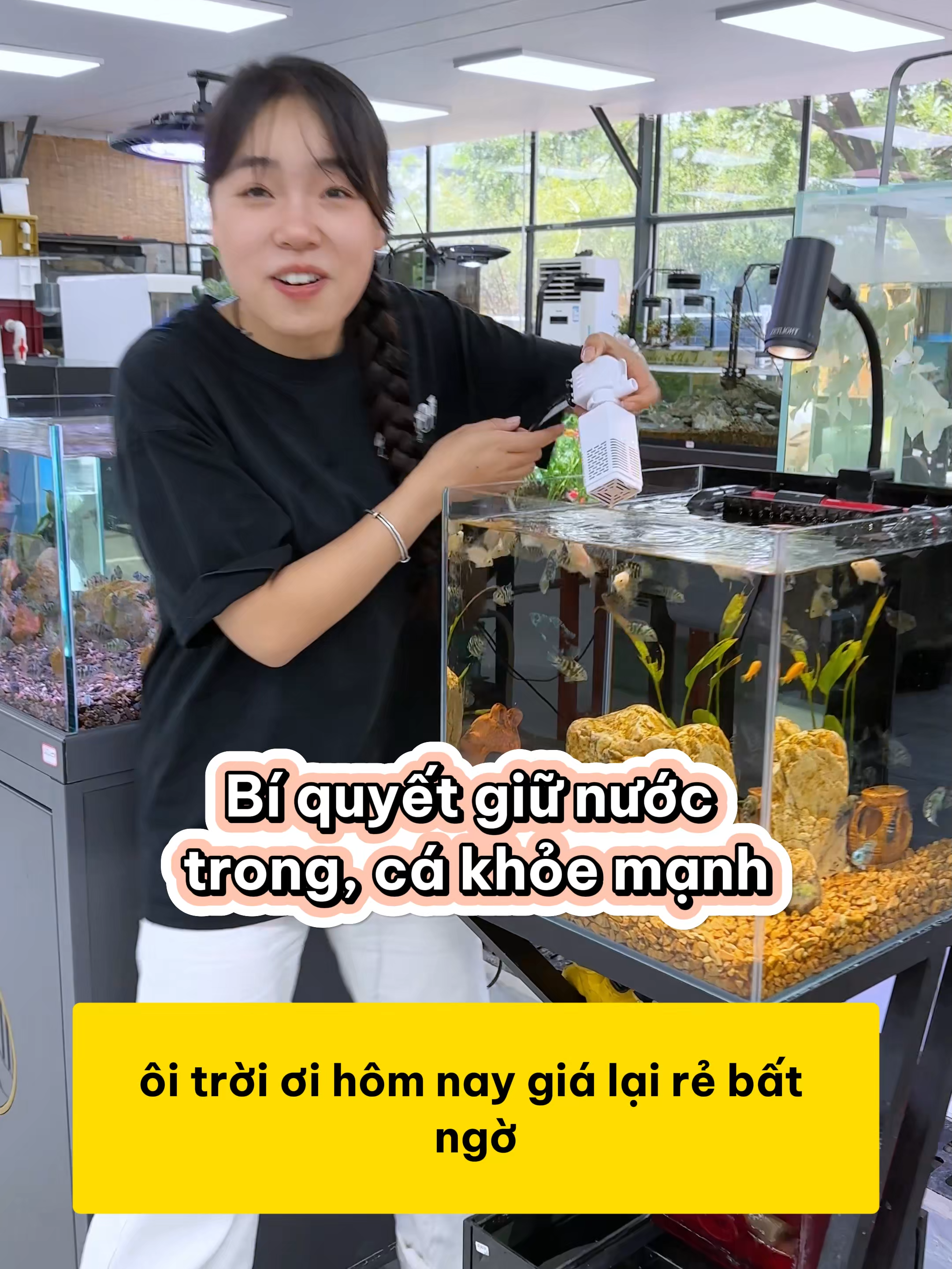 Bí quyết giữ nước trong, cá khỏe mạnh mà không tốn nhiều công #methuysinh #aquarium #fish #fyp