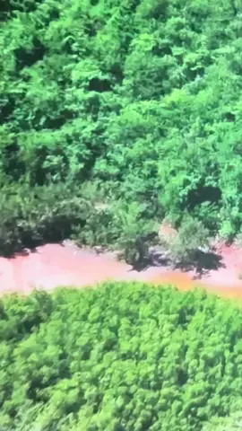 #lillysgarden1_official #motivation #reflexion #eltarot #oracionespoderosas 