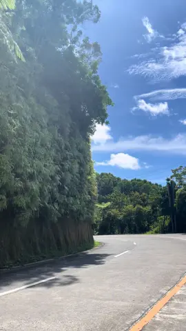 Nature heals🥹#nature 