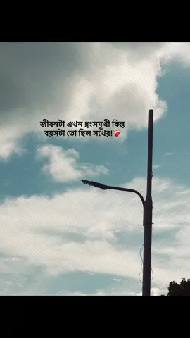 জীবনটা এখন ধ্বংসমূখী কিন্তু বয়সটা তো ছিল সখের!❤️‍🩹 #foryou #banglacaption #sadcaption #emotionalvideo #fyp 