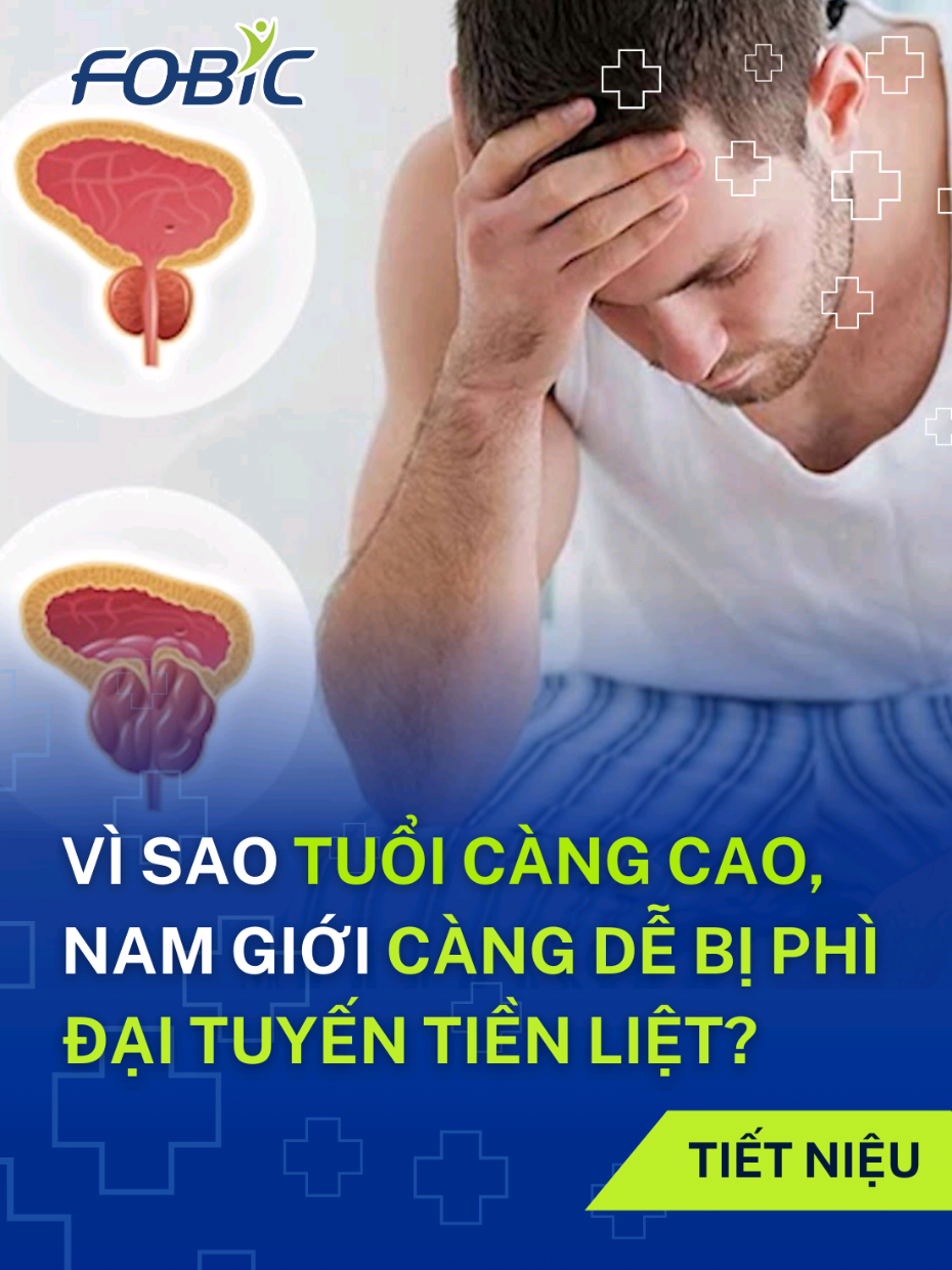 Vì sao tuổi càng cao, nam giới càng dễ bị phì đại tuyến tiền liệt?  #tienthiendan #phidaituyentienliet #tieudemnhieu #tieukho 