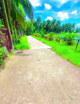 #CapCut #100kviews #bangladesh🇧🇩tiktok #fyp #foryoutiktok @প্রকৃতি প্রেমি রাহাত 🍃  