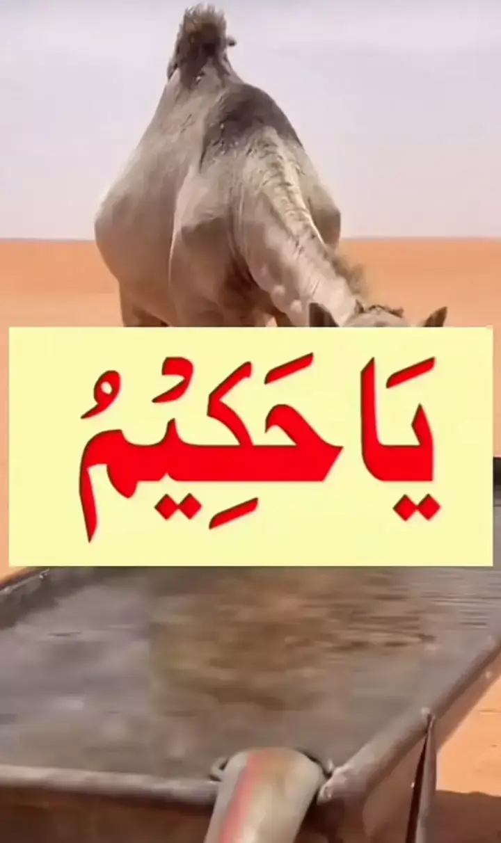 #wazifaforlove #videoviral #unfreezemyacount 