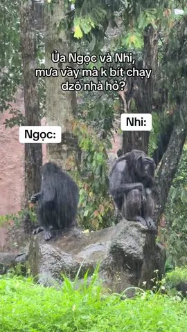 Ngọc Nhi =)) #vinpearlsafariphuquoc #GreenCreator #VinWonders #WonderSummer2025 #dulich 