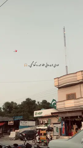 اودی لا پروائی مینو اندرو کھا گئی۔ 👀😭💔#foruyou #foryoupages #poetry #poetrystatus #aesthetic 