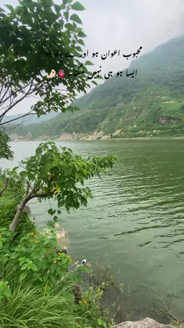 👉🏻AWAN👈🏻 #fyp #foryou #viralvideo #growaccount #foryoupage #famous #million #view 