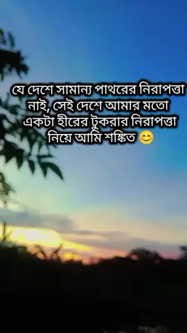 যে দেশে সামান্য পাথরের নিরাপত্তা নাই, সেই দেশে আমার মতো একটা হীরের টুকরার নিরাপত্তা নিয়ে আমি শঙ্কিত 😊 #foryoupage #tiktokviralvideos #bangladesh #comedia 