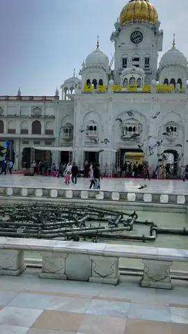 Waheguru ji waheguru ji🙏🏻#amritsar #waheguru #waheguruji #satnamwaheguru 