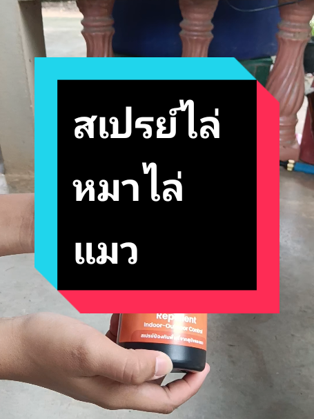 #สเปรย์ไล่หมาไล่แมว#ชุมพรรีวิว @ชุมพร รีวิว @ชุมพร รีวิว @ชุมพร รีวิว 