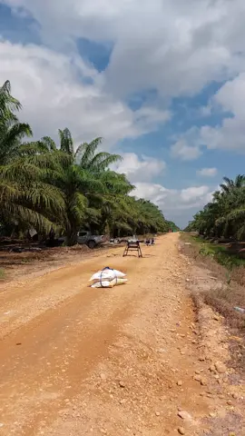 paket anda dalam perjalan 🚁 #djit100 #terradroneindonesia #djiagriculture #trending #fouryoupage #padahariini #fyppppppppppppppppppppppp #thailand #kalimantan 