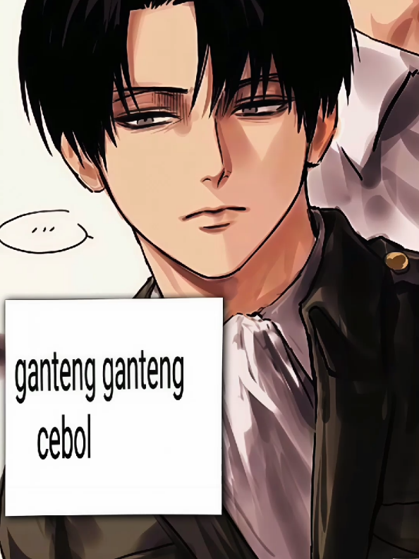 burem lagi, pasti gk rame lah🗿versi#leviackerman #foryoupage #singekinokyojin #aot #🗿 
