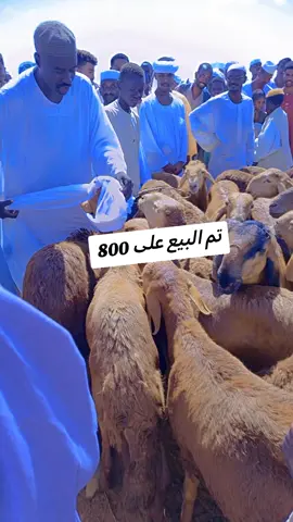 #اعادة_النشر🔃 #مليون_مشاهدة #الاخوان_نعمه_وسند😍😍 #سودانيز_تيك_توك_مشاهير_السودان 