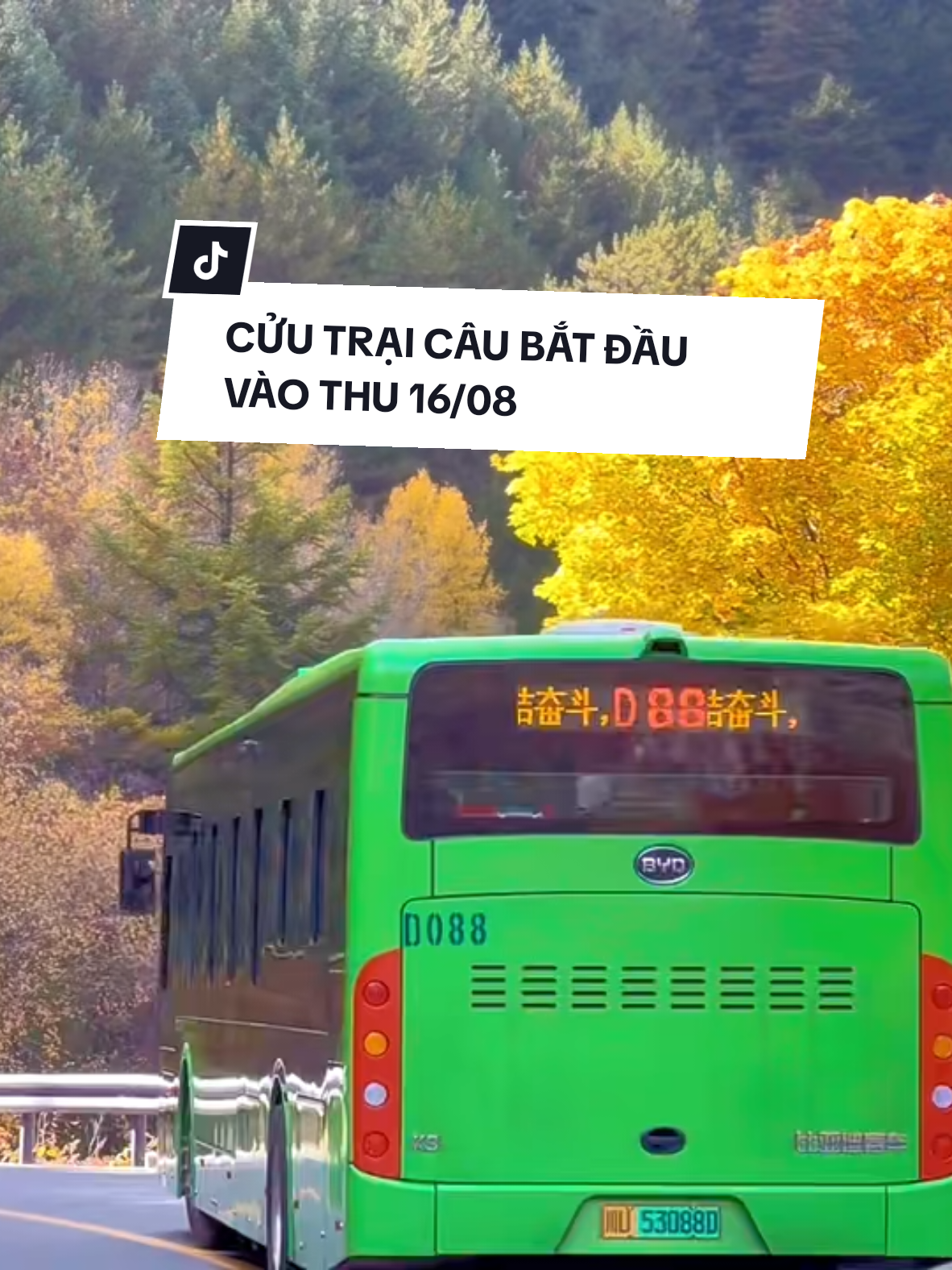 Cửu Trại Câu ngày hôm nay đã bắt đầu vào mùa đẹp nhất ❤️ Nước xanh trong vắt, các loài cây đua nhau thay màu vàng cam cùng không khí mát mẻ 😍🍃 Quả thật đến Cửu Trại Câu vào tháng 9 tựa như thiên đàng hạ giới 🍀 Tới Cửu Trại Câu tuyệt đẹp tháng 9 Ib mình ngay ❤️🫰 #dulichtrungquoc #hoachinatrip #Vietoceantravel #cuutraicau #tourtrungquoc 