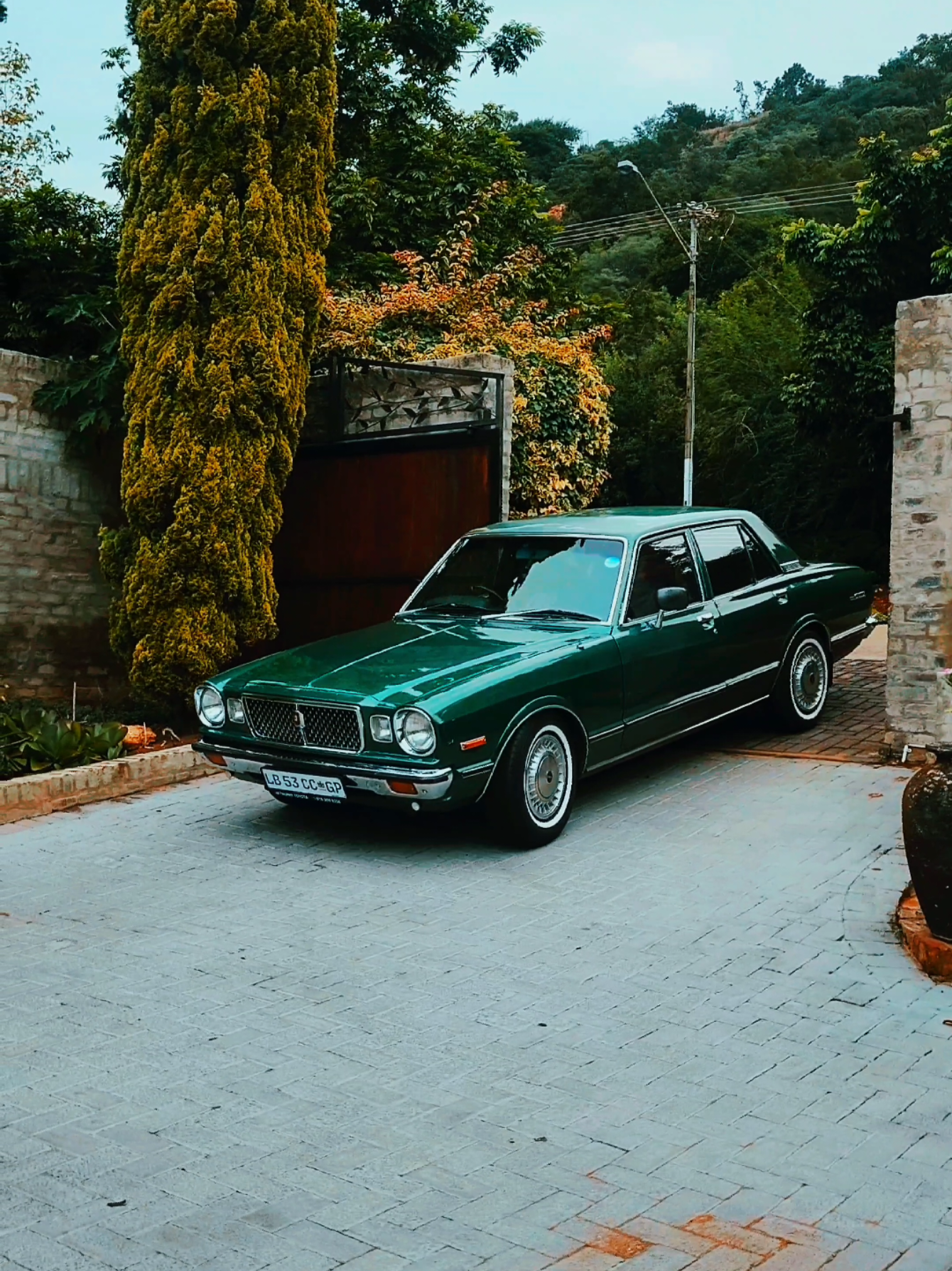 Cressida Ya Papa 🥵🥵🥵 #green #drive #classic #jdm #cressida 