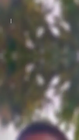 #CapCut 