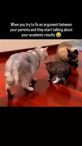 Whyyyyyy?......😩 #actor #catlover❤️ #cat #couplegoals #parents 