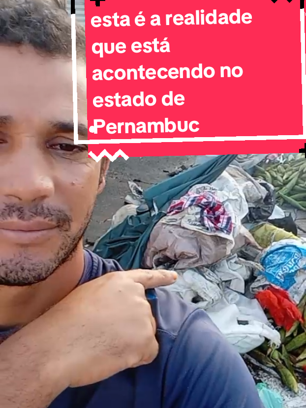 esta é a realidade que está acontecendo no estado de Pernambuco #realidade #brasil #papai 