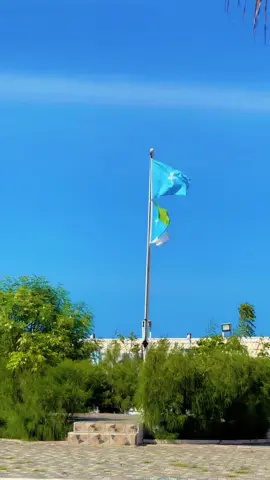 #madaxweyneahmedmislaam #jubaland #JSF🦅 #axmeddaacad💉🔥🦁🙌💪 #Birjeex⚔️ 