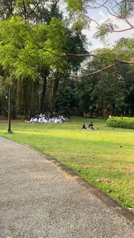 Video mentahan Taman GBK City Park Jakarta, simpan dulu buat bahan prank #videomentahan #gbk 