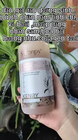 dầu gội dưỡng sinh 