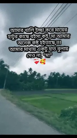 আমার খালি ইচ্ছা করে মায়ের  হাটুর কাছে বইসা কই,,মা আমার  অনেক কষ্ট হইতাছে,!!! আমার মাথায় একটু হাত বুলায়  দেও না, 