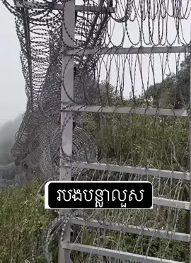 របងបន្លាលួស#🥲 #🤣 #😂😂😂 #ទាហាន #ទាហានកម្ពុជា👨🏻‍✈️ 