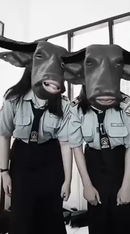 kadong penak 