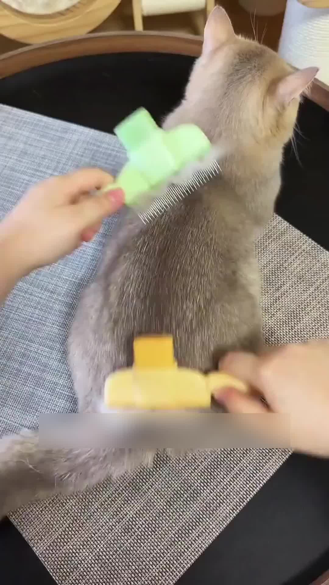 Bàn Chải Chải Lông Cho Thú Cưng, Tích Hợp Dụng Cụ Tháo Thắt Nút Và Dụng Cụ Loại Bỏ Lông Rời, Dễ Dàng Tẩy Lông, Có Màu Xanh Lá Cây Và Màu Vàng, Thích Hợp Để Chải Lông Cho Thú Cưng 