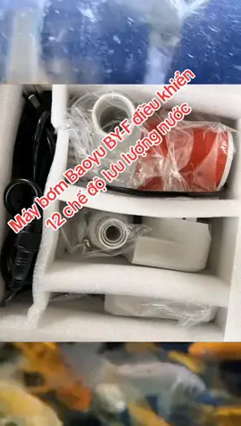 Máy bơm Baoyu BY-F điều khiển 12 chế độ lưu lượng nước #xuhuong #maybombeca #bombaoyu #maybombaoyuby #bomhoca 