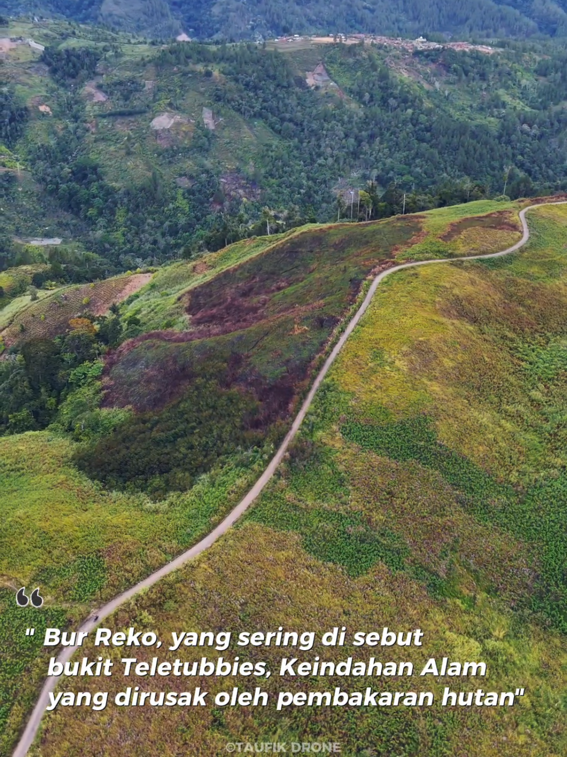 Bur Reko, yang sering disebut bukit Teletubbies, Keindahan Alam yang dirusak oleh pembakaran hutan, Next dimana lagi? #gayolues #wisatagayo #wisataaceh #thelightofaceh #fyp 