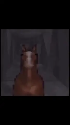 ¿A quién no le gustan los caballos?