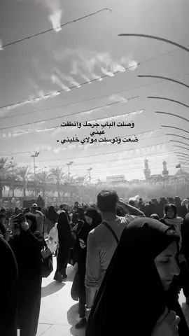 ضَعت وتوسلت مَولاي خَليني  #قصيده #حزن #زيارة_الأربعين  #مشايه #كربلاء #تصويري 