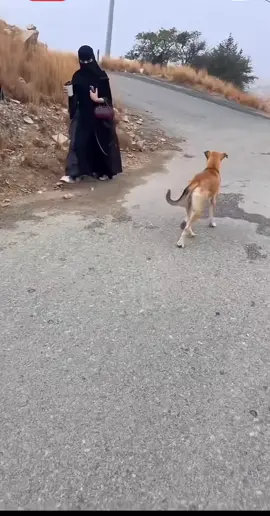 #😂😂😂 #explore #freetime 