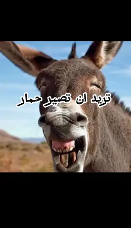 #لك #وعليك#تابعني_متخسر_شي_🔴❤️‍ #