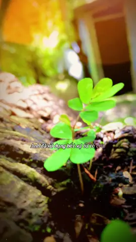 không được trân trọng thì rời đi thôi…#tâmtrạng #nhactamtrang#camxucbuon 