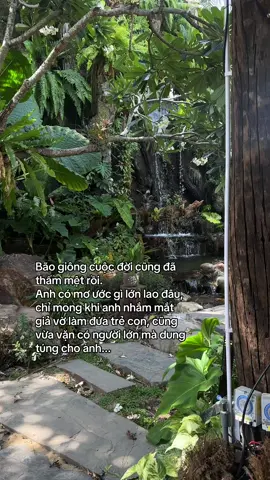 Bão giông cuộc đời cũng đã thấm mệt rồi.  Anh có mơ ước gì lớn lao đâu, chỉ mong khi anh nhắm mắt giả vờ làm đứa trẻ con, cũng vừa vặn có người lớn mà dung túng cho anh... #foryou #fyp #tamtrang #tinhyeu #xh 