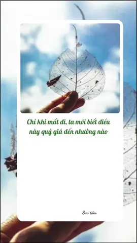 Trên đời này, không có gì là quan trọng nhất, chỉ có điều ta đang cần nhất mà thôi. #tamtrang #chualanh #foryou #binhyen #xuhuong #hanhphuc 