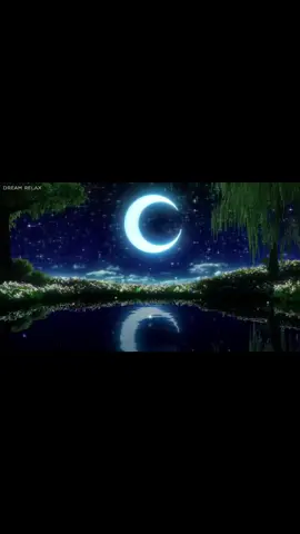 #creatorsearchinsights #foryoupage #fypシ゚viral #fypシ゚ #ရောက်ချင်ရာရောက်စမ်းကွာfypシツ♡☆★ 