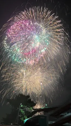 木更津港まつり花火大会🎇 #花火大会 #木更津港まつり