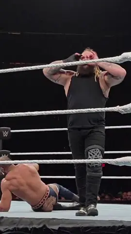 #BrayWyatt #BrayWyattFans #FYP  #ForYou  #WWEUniverse 