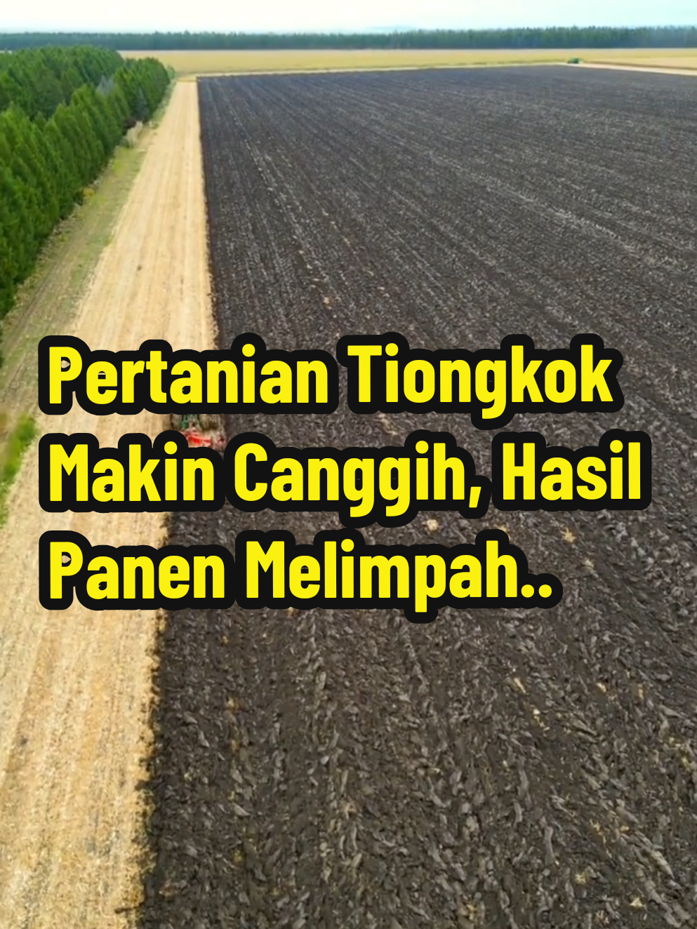 Pertanian di Tiongkok kini berubah drastis dengan hadirnya berbagai alat modern yang sangat canggih. Mesin pembajak sawah, traktor otomatis, hingga mesin panen besar membuat pekerjaan petani jauh lebih ringan dan cepat. Jika dulu membajak sawah dan panen membutuhkan banyak tenaga manusia, kini semua bisa dilakukan hanya dengan satu mesin. Teknologi ini bukan hanya meningkatkan hasil panen, tapi juga membuat pertanian lebih efisien dan hemat waktu. Saksikan bagaimana alat-alat pertanian modern ini benar-benar mengubah cara bertani di Tiongkok! #BaliFarmHouse #PertanianModern #AlatPertanianCanggih #PanenMelimpah #WisataPertanian 